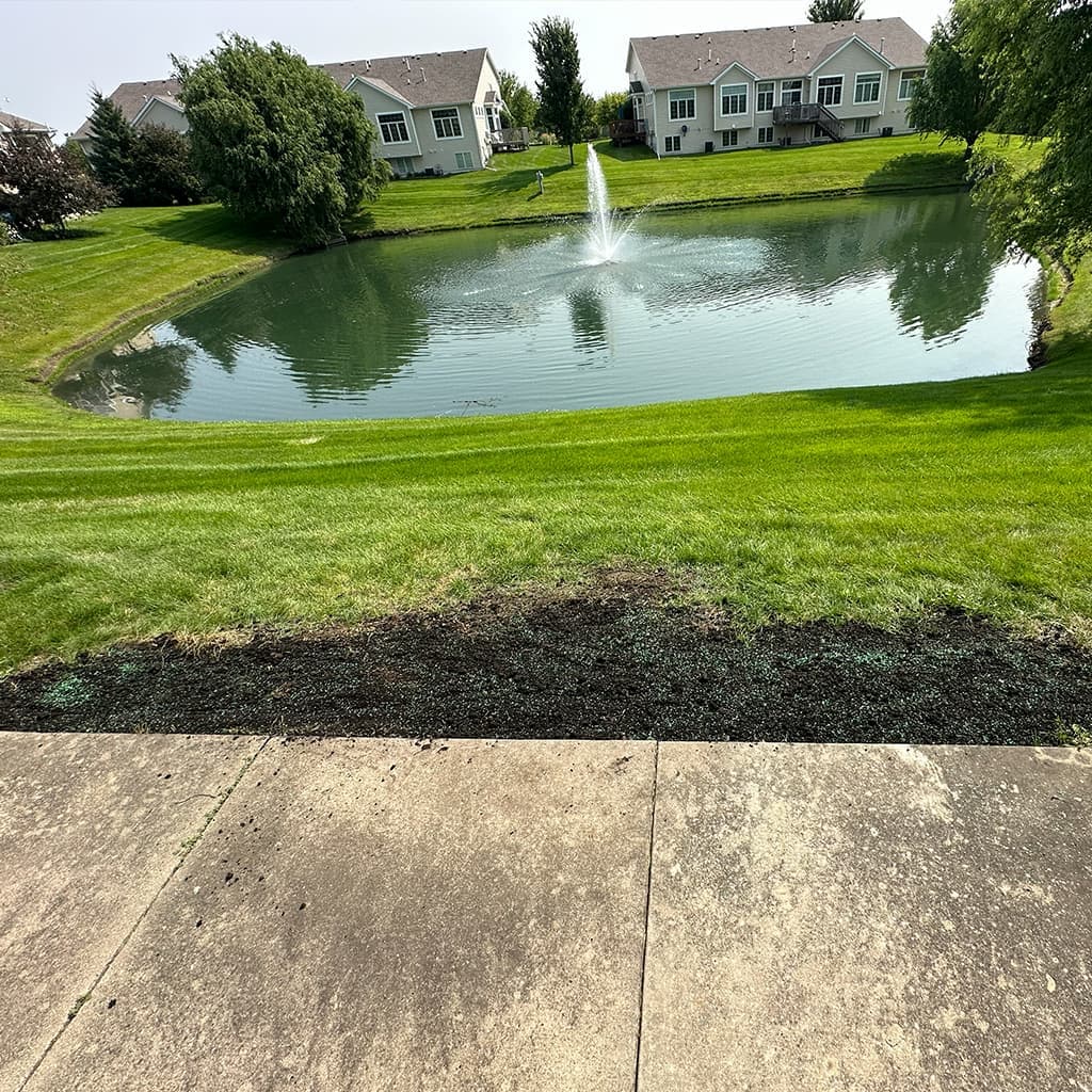 Residential lawn seeding in the Des Moines area: freshly prepared soil along a patio edge with seed and starter mulch for soil contact, with healthy turf and landscaping beyond.