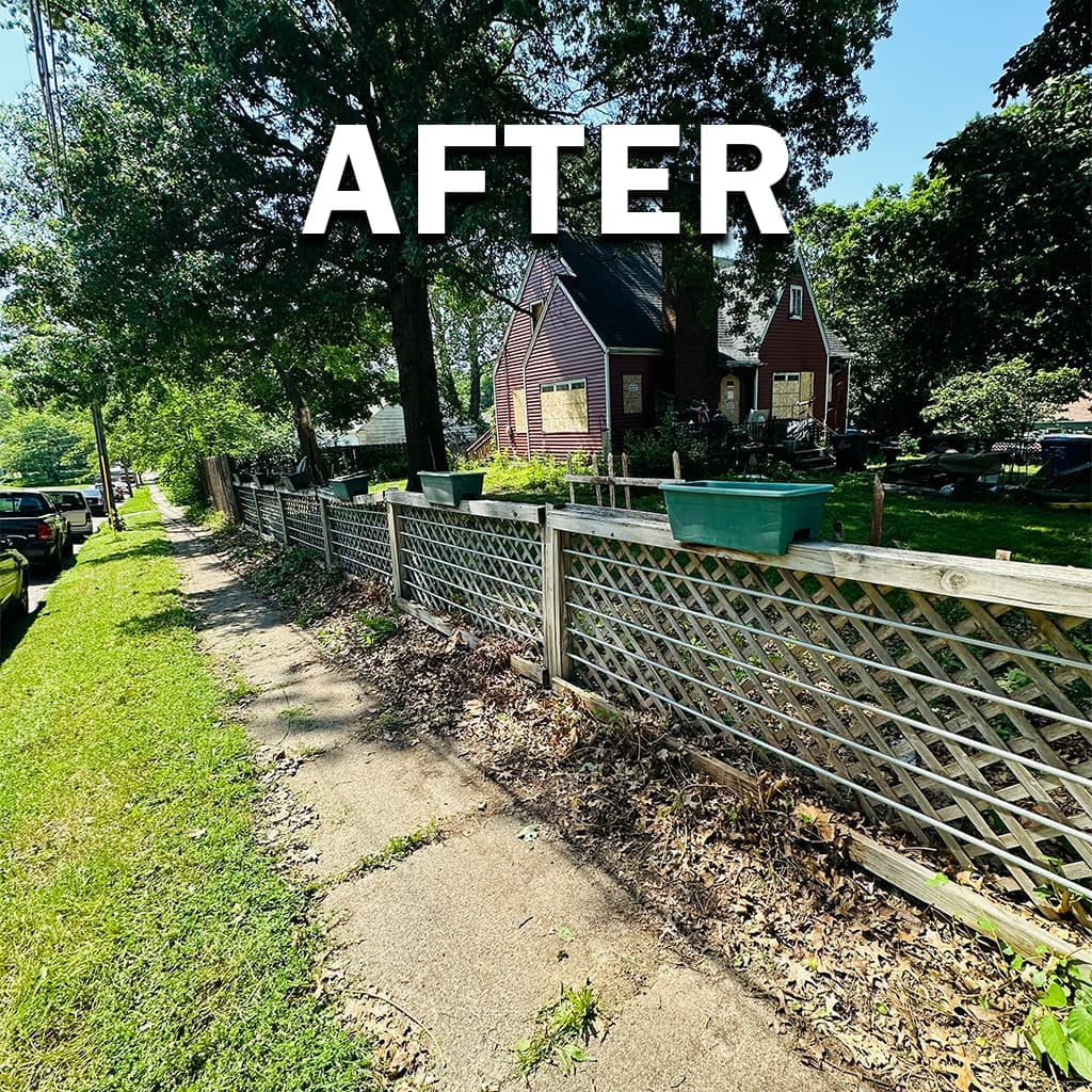 Trimming project 4, after: house-safe clearance and defined lines for mowing access.