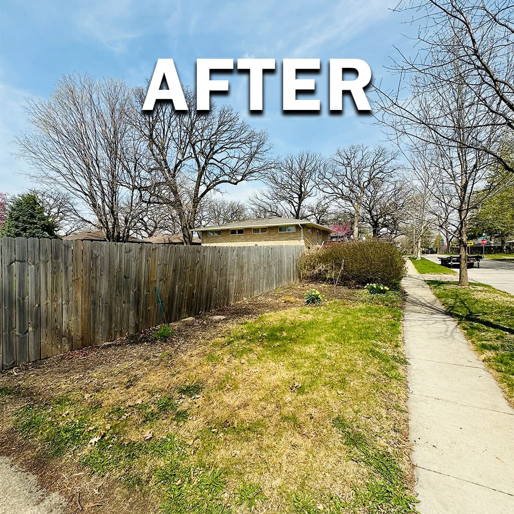 Seasonal leaf cleanup, after: turf and edges cleared so the lawn can breathe before winter or spring mowing.