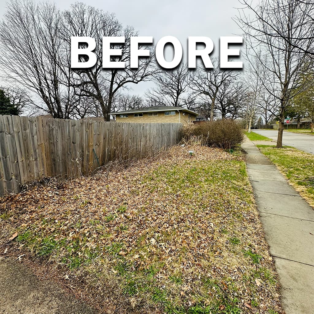 Seasonal leaf cleanup, before: heavy leaf cover on turf and along beds in the Des Moines metro.