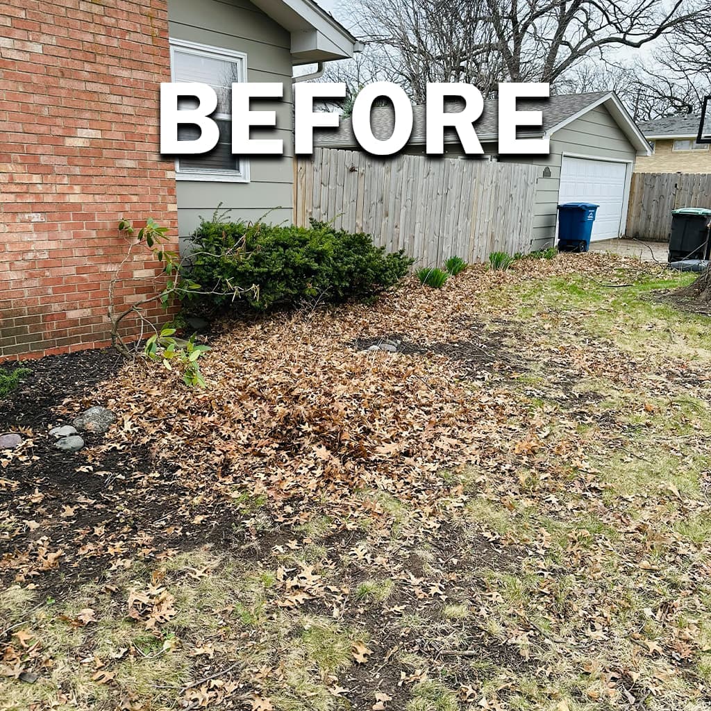 Leaf removal project 2, before: matting leaves on grass and near hard surfaces.