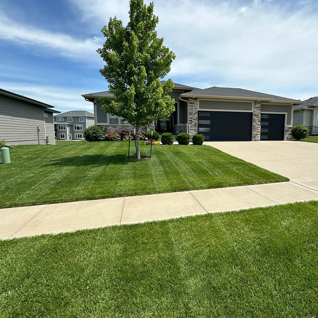 Des Moines-area property with edged sidewalk and clippings cleared from hard surfaces.