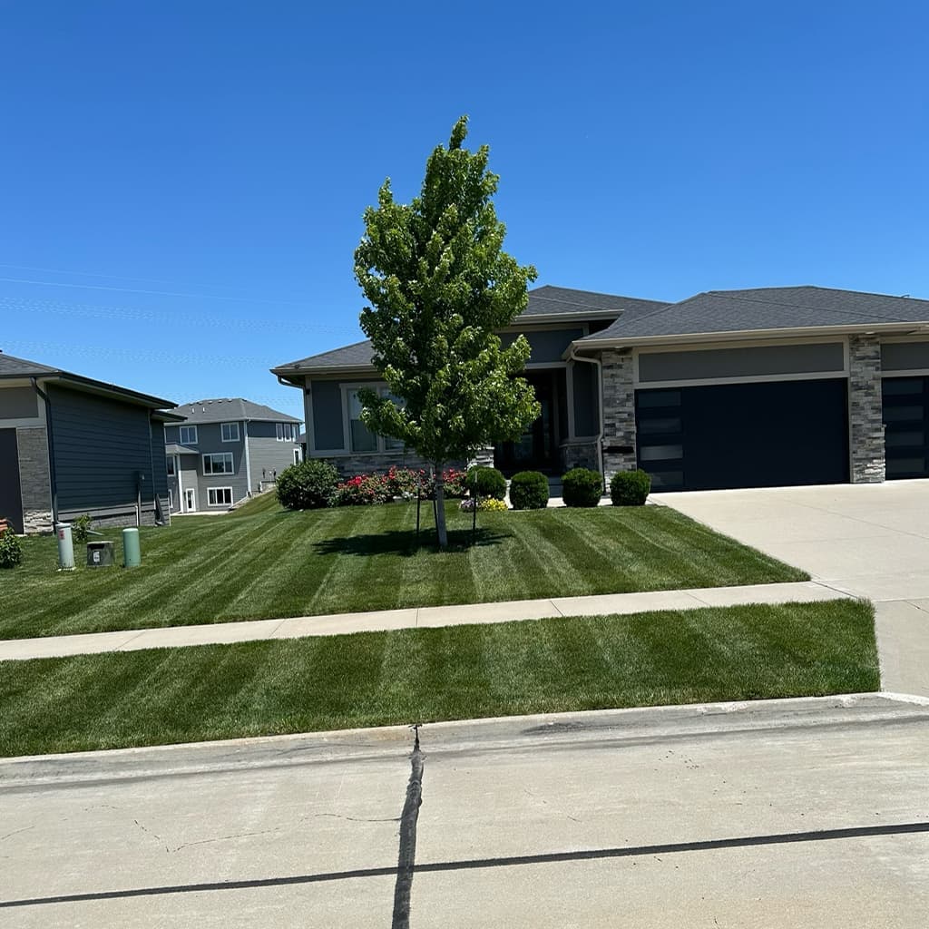 Residential mowing result: even height, healthy color, and walk lines that read sharp at the curb.