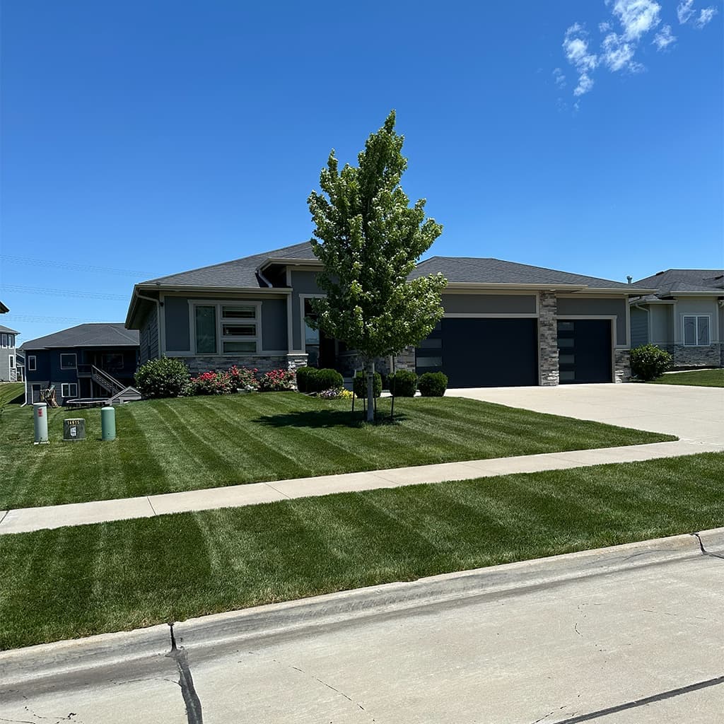 Metro lawn care: mowing and edging along a fence line with a finished, maintained look.