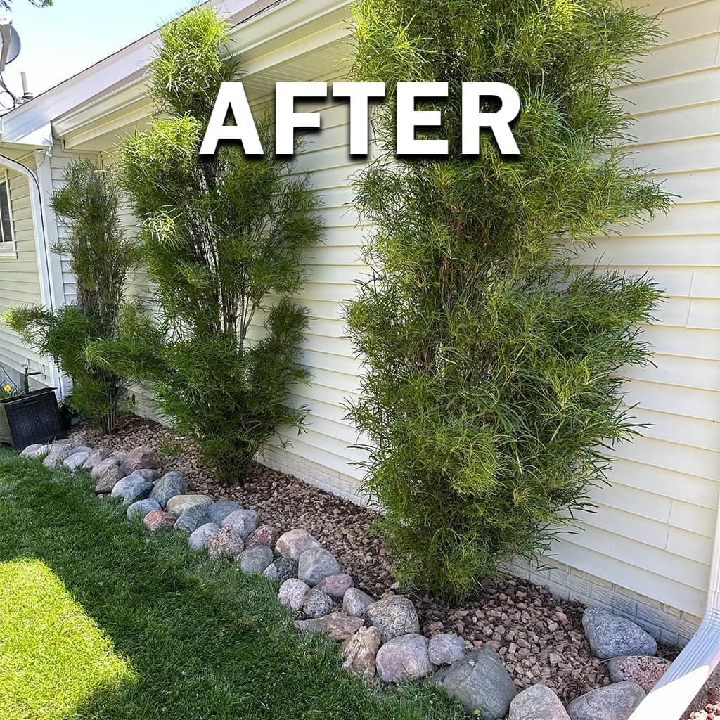 Manual weed removal, after: the same edge cleared and bed line looking maintained.